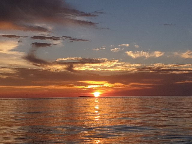 No Boat Back - Image 2