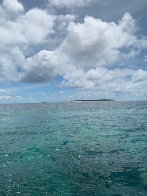 No Boat Back - Image 3